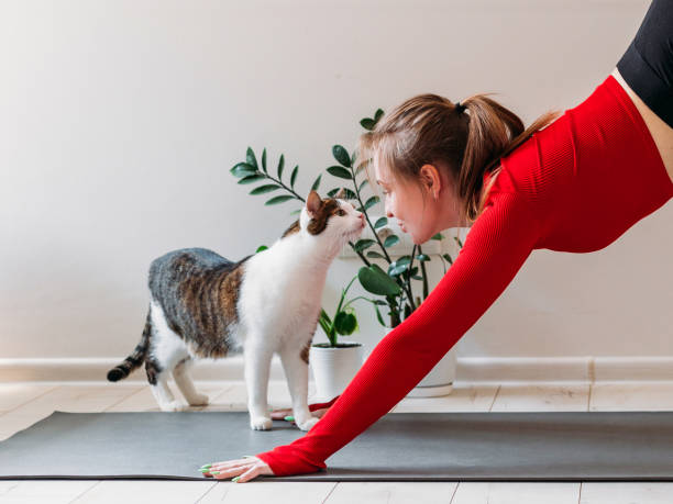 yoga-femme-avec-chat